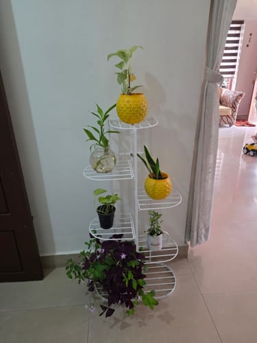 Customer photo review of UnitedCrafts MILO 6 Tier Metal Plant Stand -7 Potted Multiple Shelves