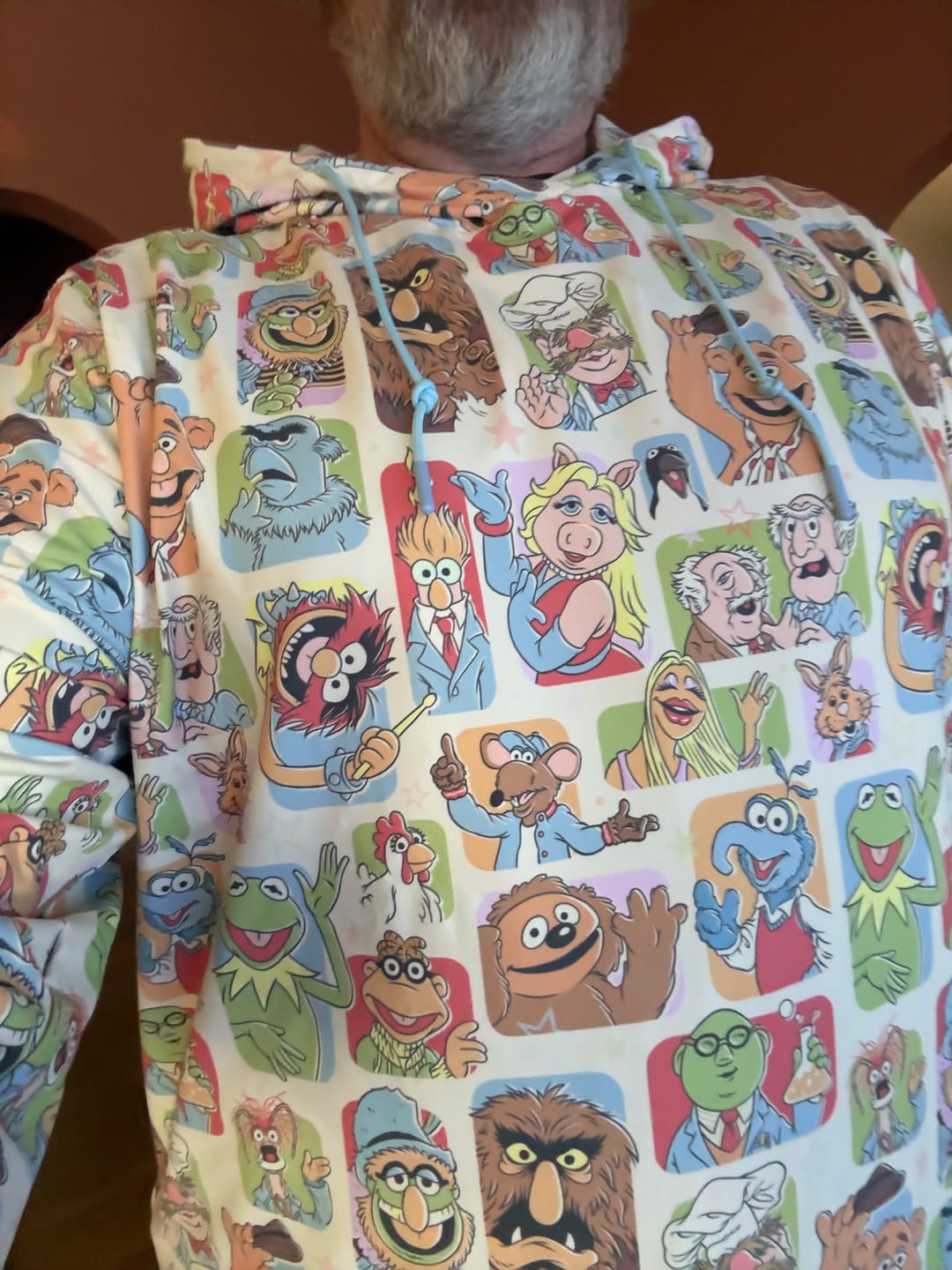 Customer photo review of Disney's The Muppets "Time to Meet the Muppets" – Performance Hoodie