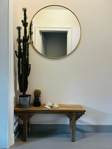 Recensents Adonis lage bijzettafel in een gang, gedecoreerd met planten en een spiegel.