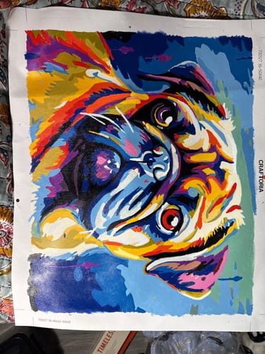 Customer photo review of Wrinkled Whims Of A Pug