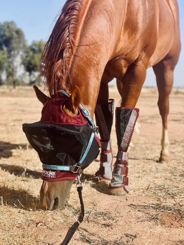 Customer photo review of LE Outback Fly Mask Original