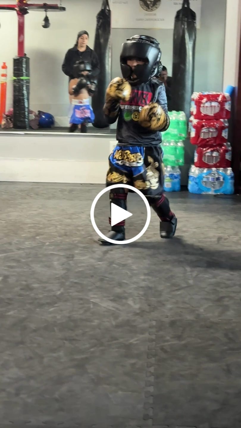 Customer video review of Dragon Gold/Black Leather Boxing Gloves
