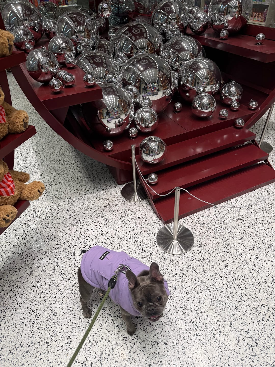 Customer photo review of WarmShield Water-Resistant Jacket - Lilac