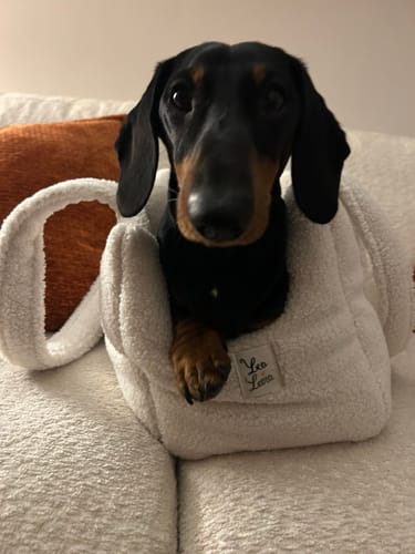 Customer photo review of Borsa Bouclé Teddy Bianco