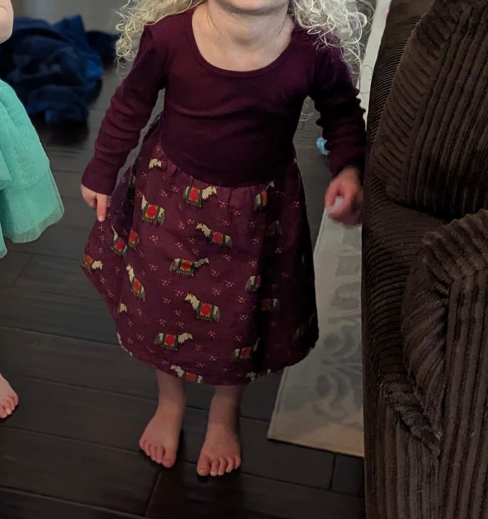 Customer photo review of Nordic Horses Little Twirler Dress