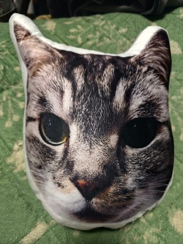 Customer photo review of 本物そっくり♪ペットクッション