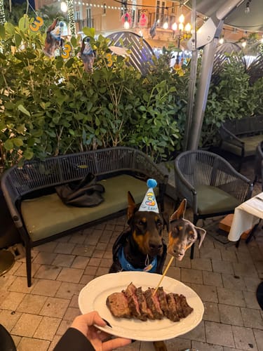 Customer photo review of Personalized Dog Party Pack