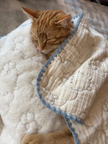 Customer photo review of Baa Baa Blanket