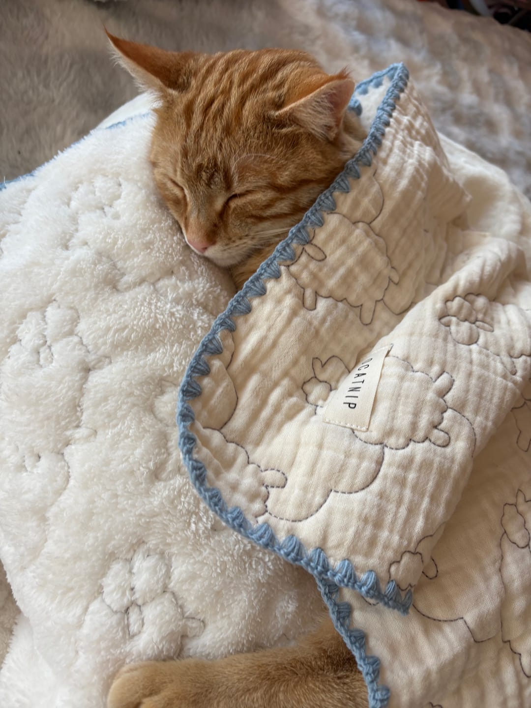 Customer photo review of Baa Baa Blanket