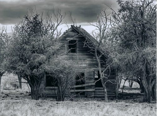 Customer photo review of 6x8 Photo Prints