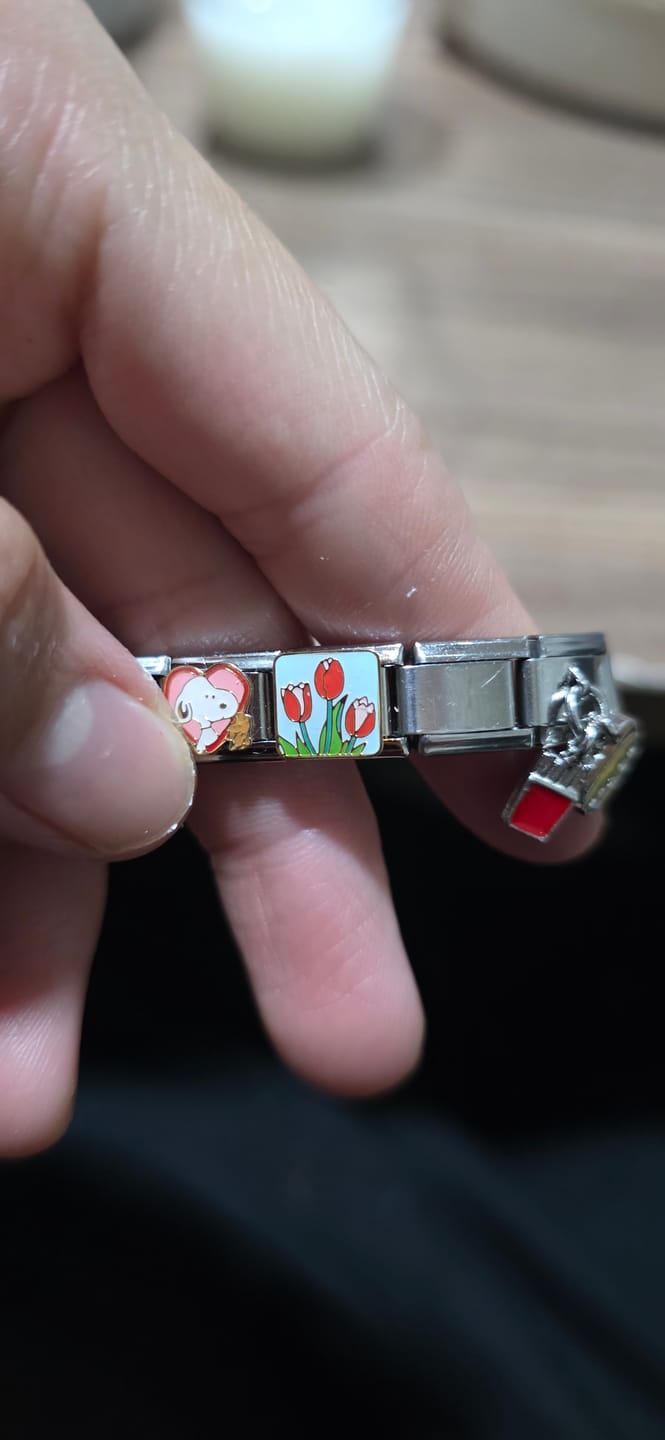 Customer photo review of Charm Tulipanes
