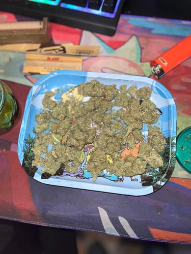Customer photo review of Blueberry Muffin - 28 Grams - Indica