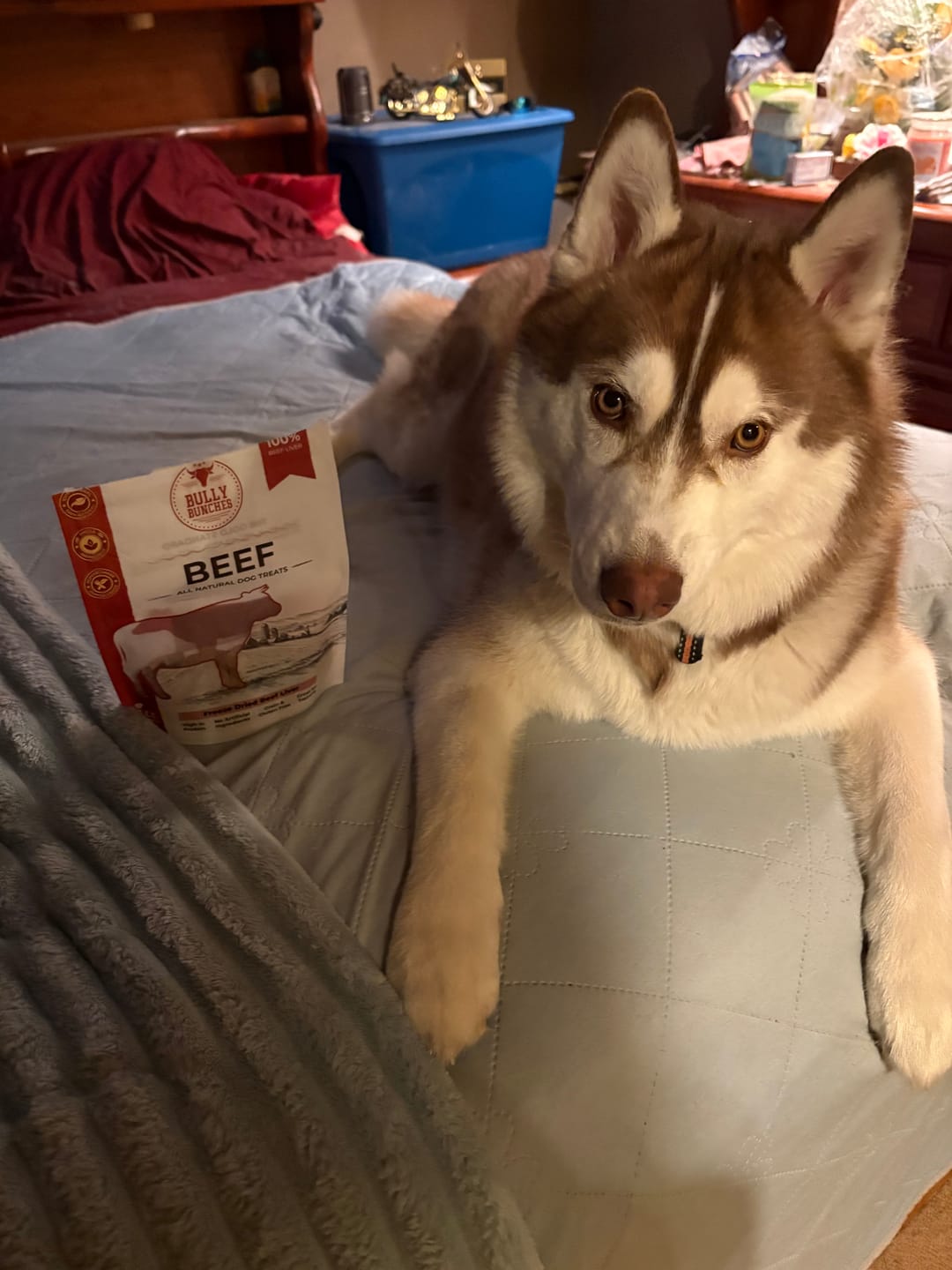 Customer photo review of Freeze Dried Beef Liver 100g / 3.5oz