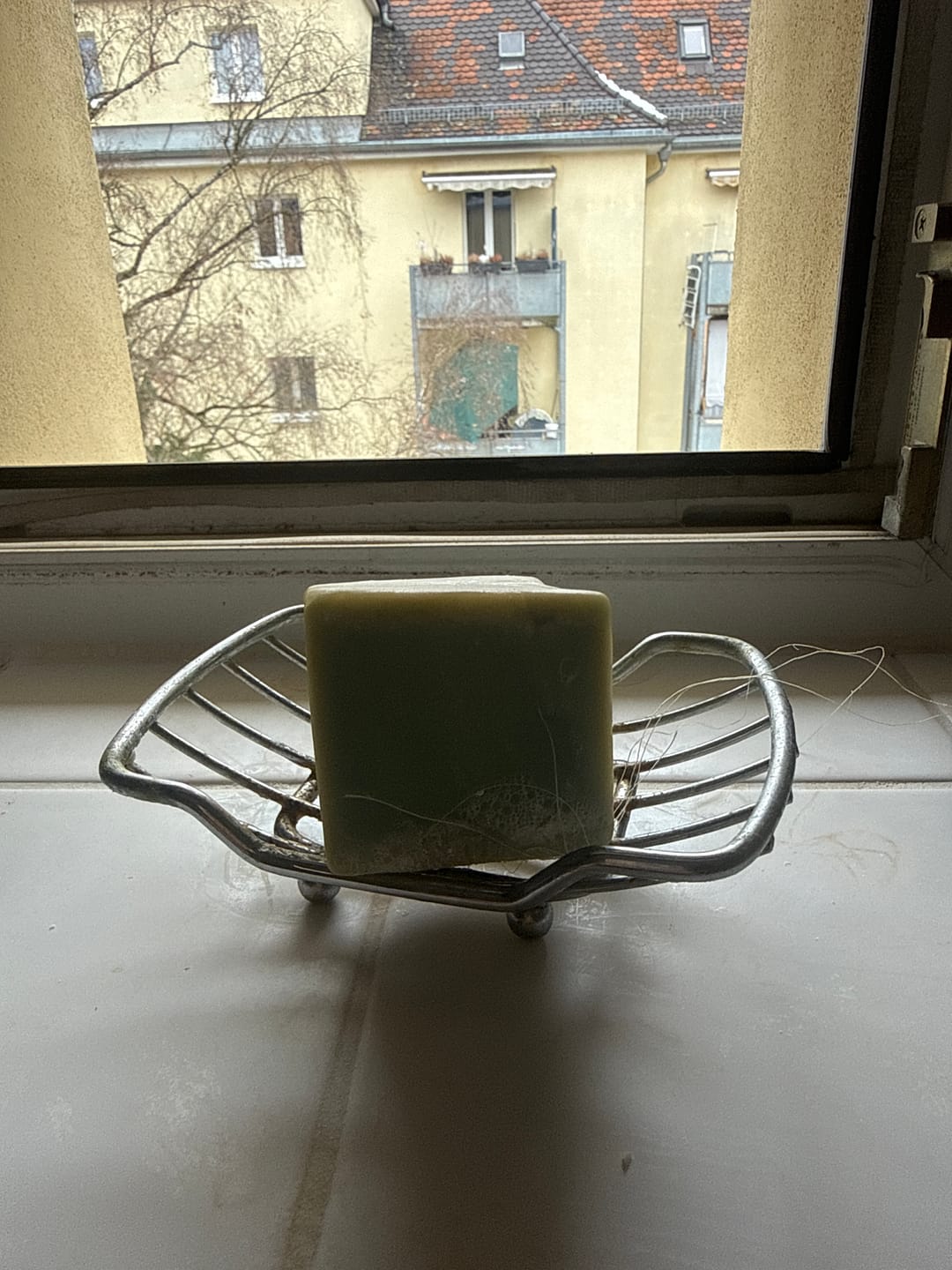 Customer photo review of Aleppo Seife - Orient Hautrein