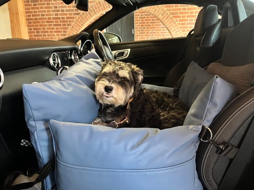 Customer photo review of The Dog Dock