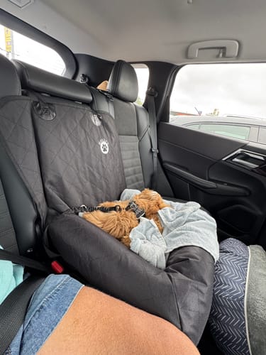 Customer photo review of Car Seat Cover