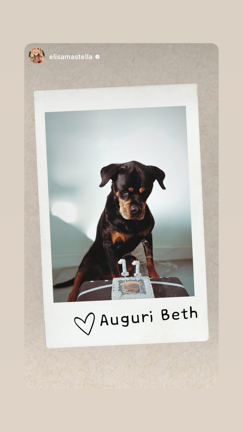 Customer photo review of Fotogenica 2 Torta Per Cani con Fotografia e Messaggio