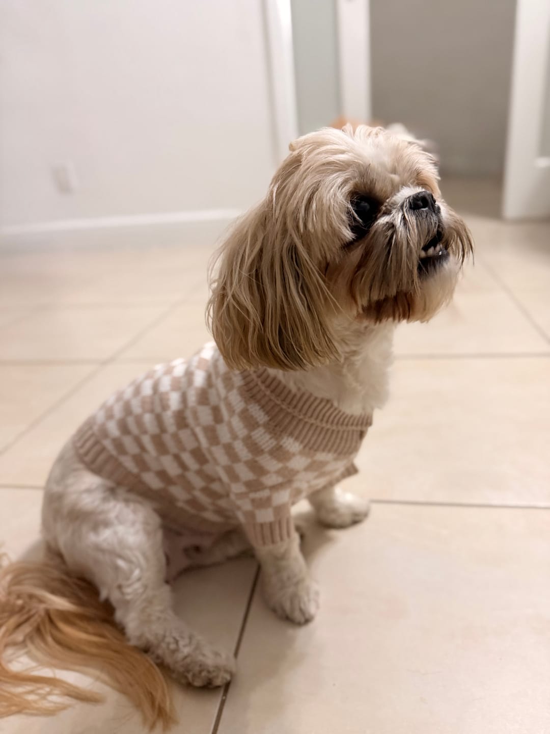 Customer photo review of Signature Heart Pet Vest