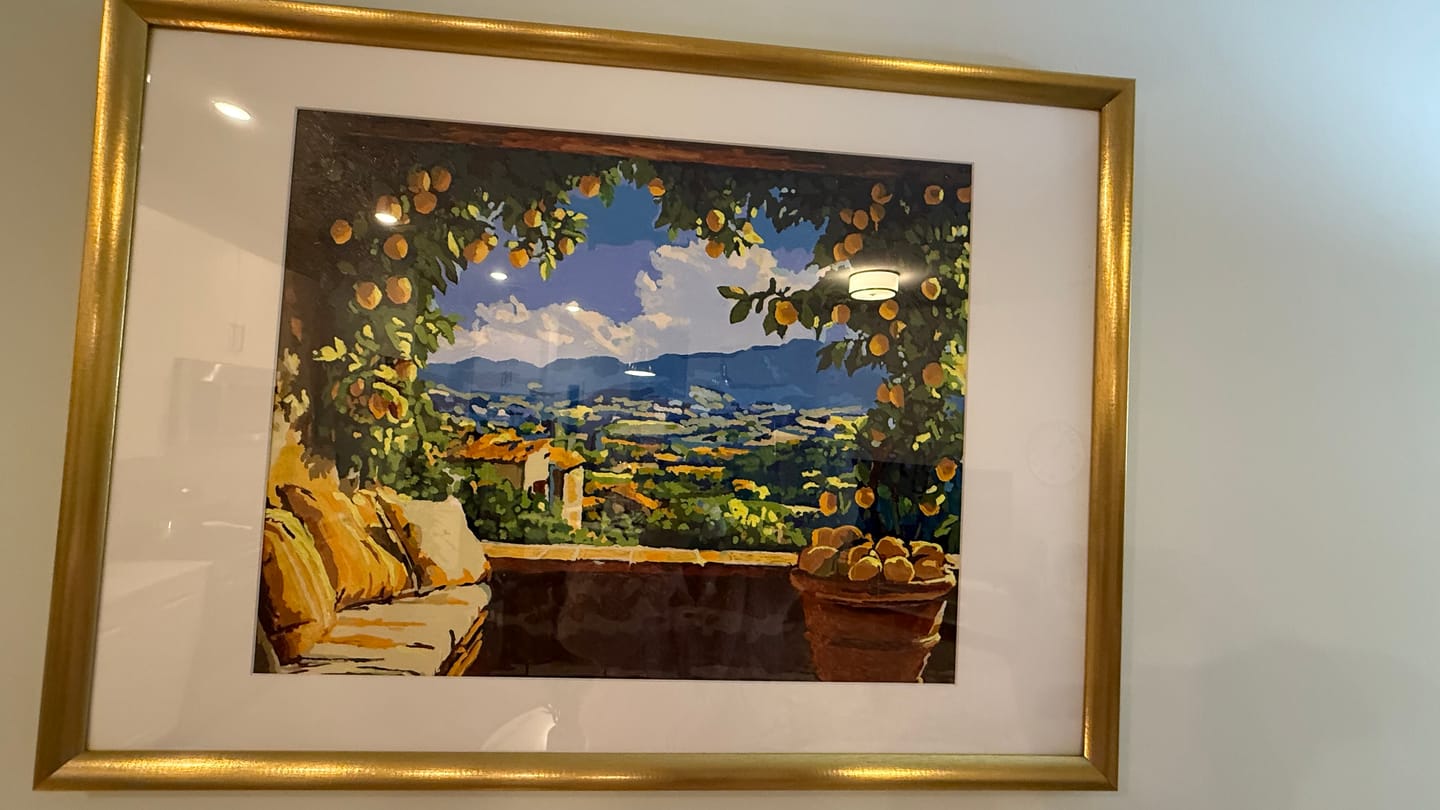 Customer photo review of Lemon Patio View