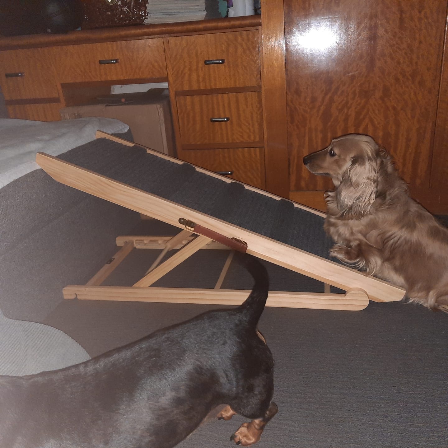 Customer photo review of Premium Wooden Dog Ramp - Adjustable Height