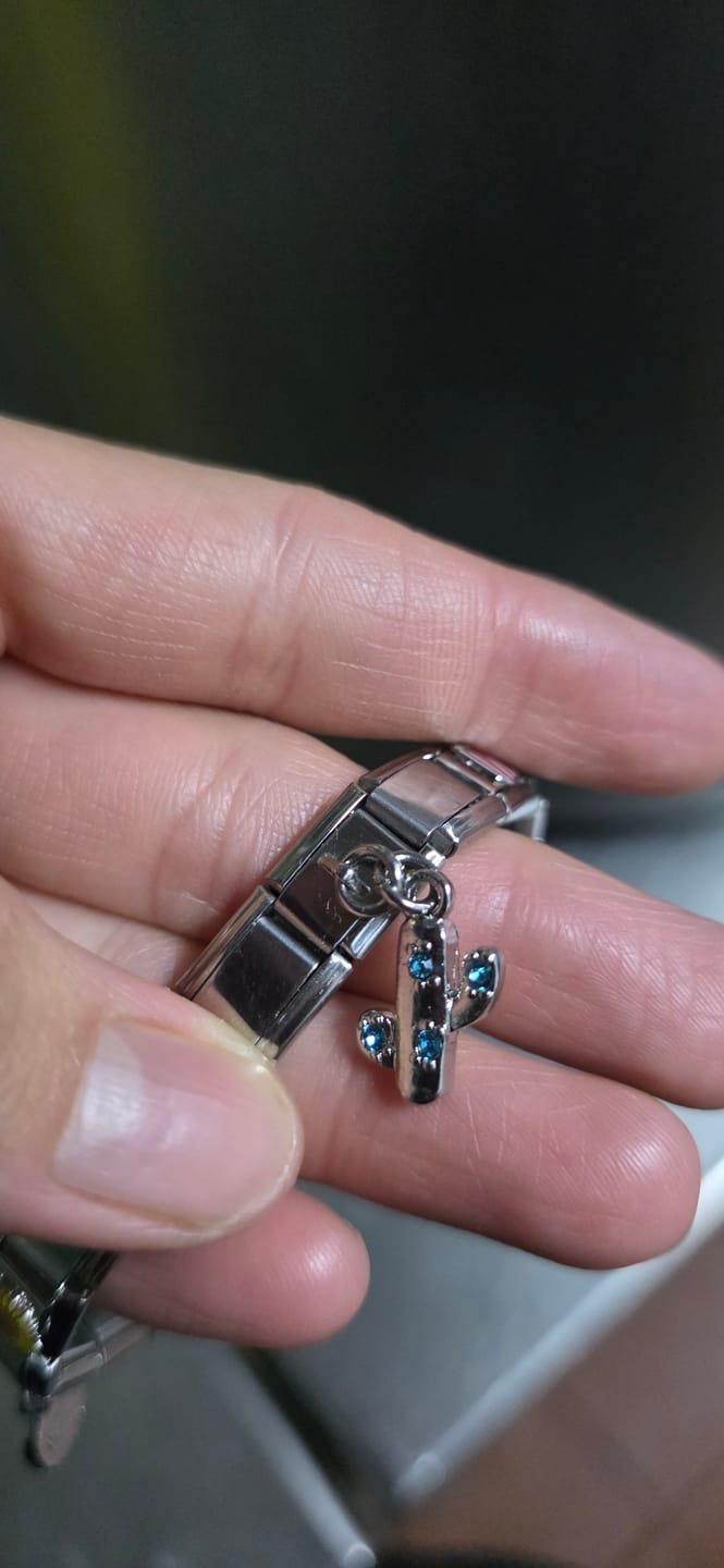Customer photo review of Charm Cactus