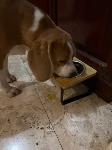 Customer photo review of Cookable Single Proteins