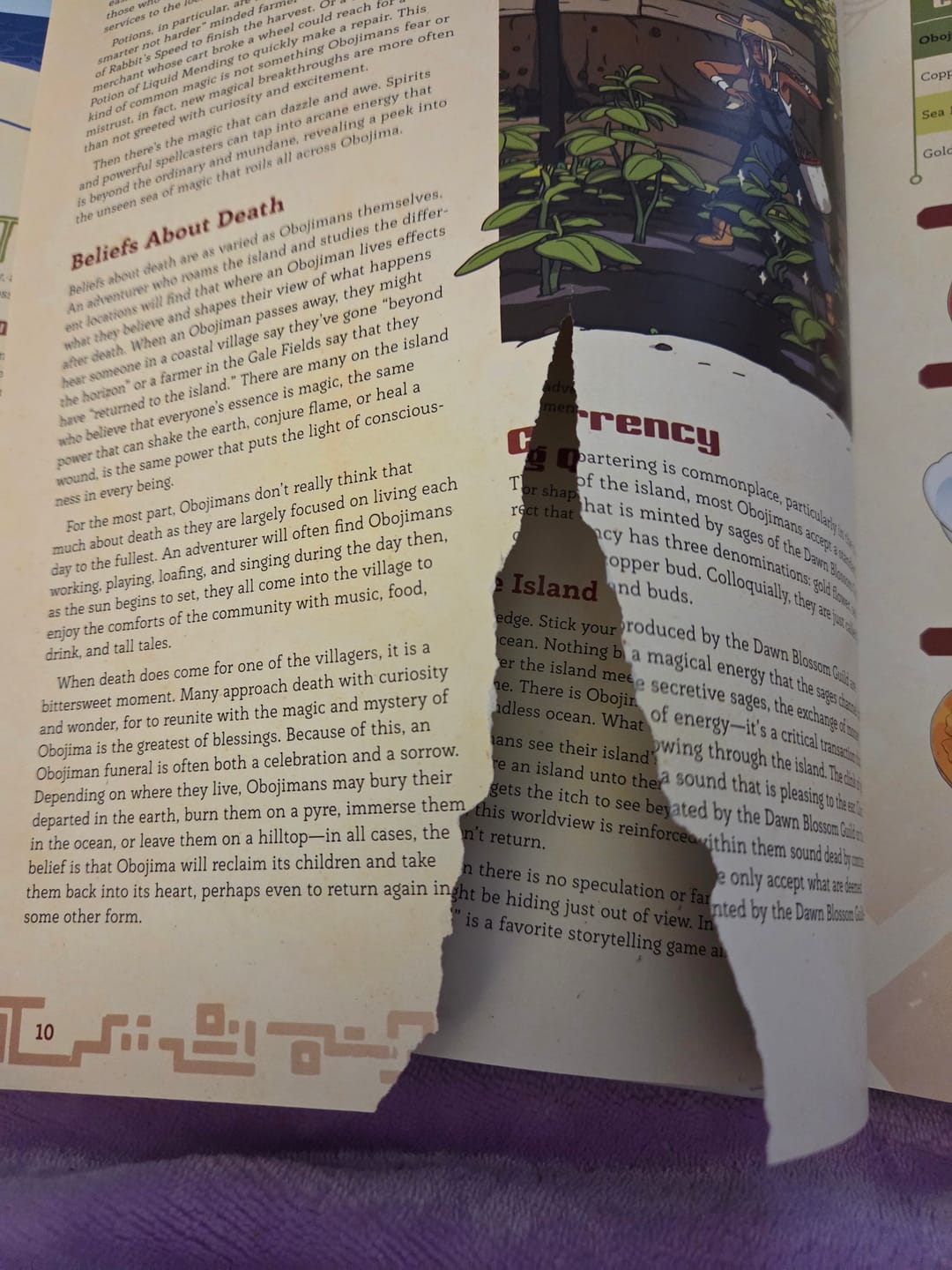 Customer photo review of Obojima: Tales from the Tall Grass – Hardcover 5E Campaign Book