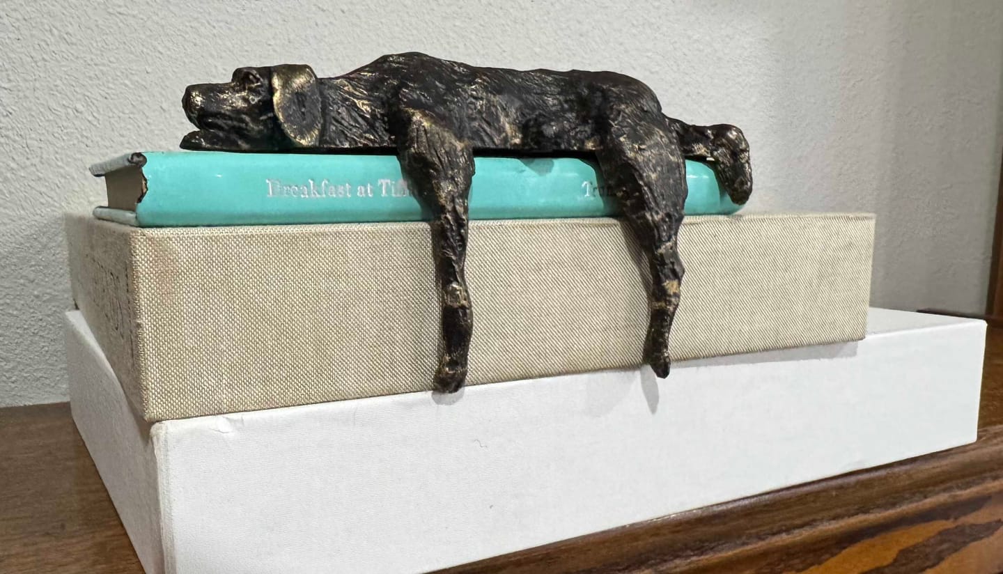 Customer photo review of Dune's Nap- Iron Shelf Decor