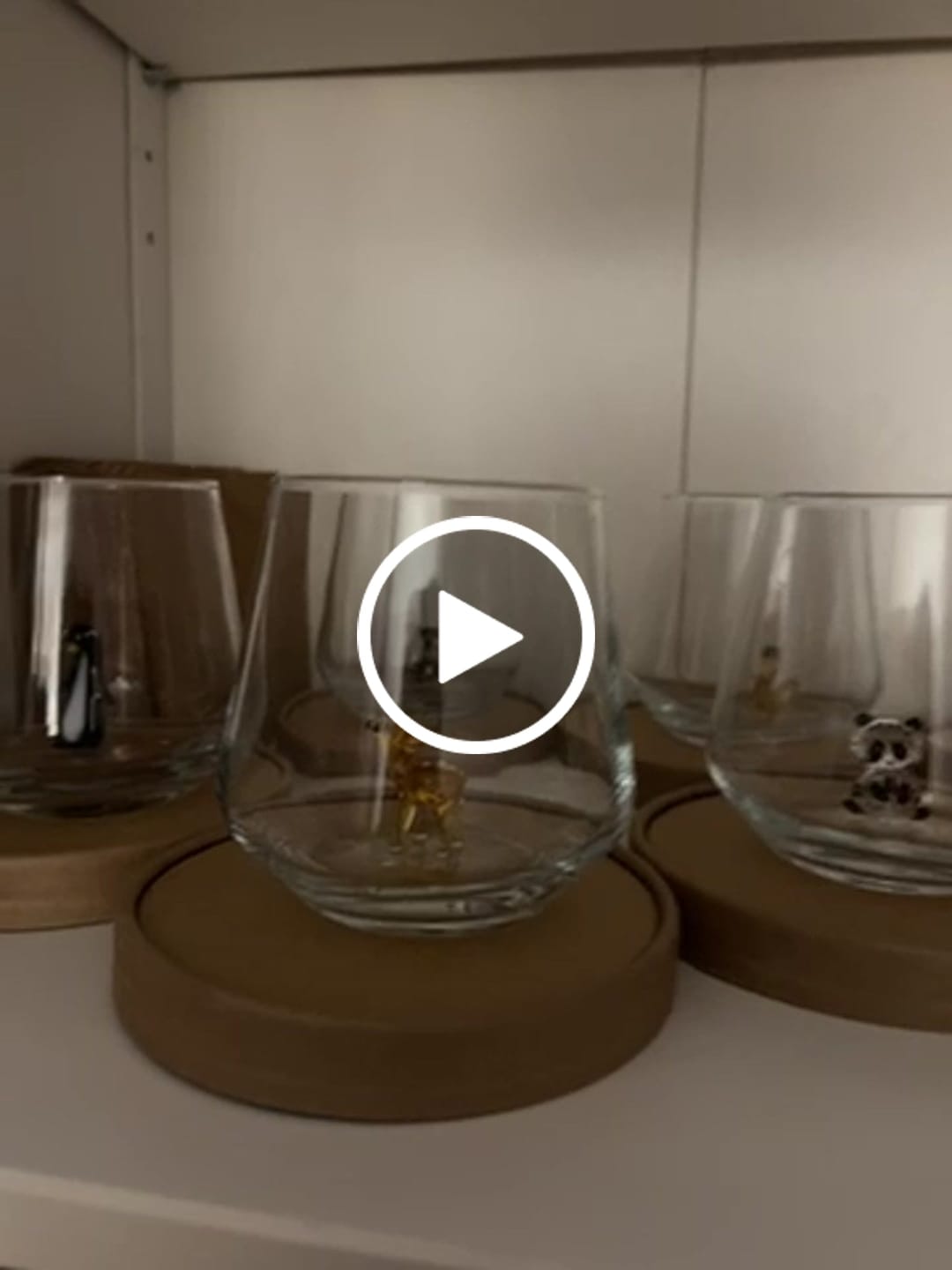 Customer video review of Planet Set of 6
