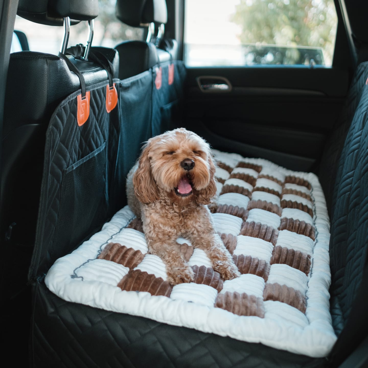 Customer photo review of Marlo&Co™ Dog Seat Cover