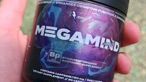 Customer photo review of MegaMind