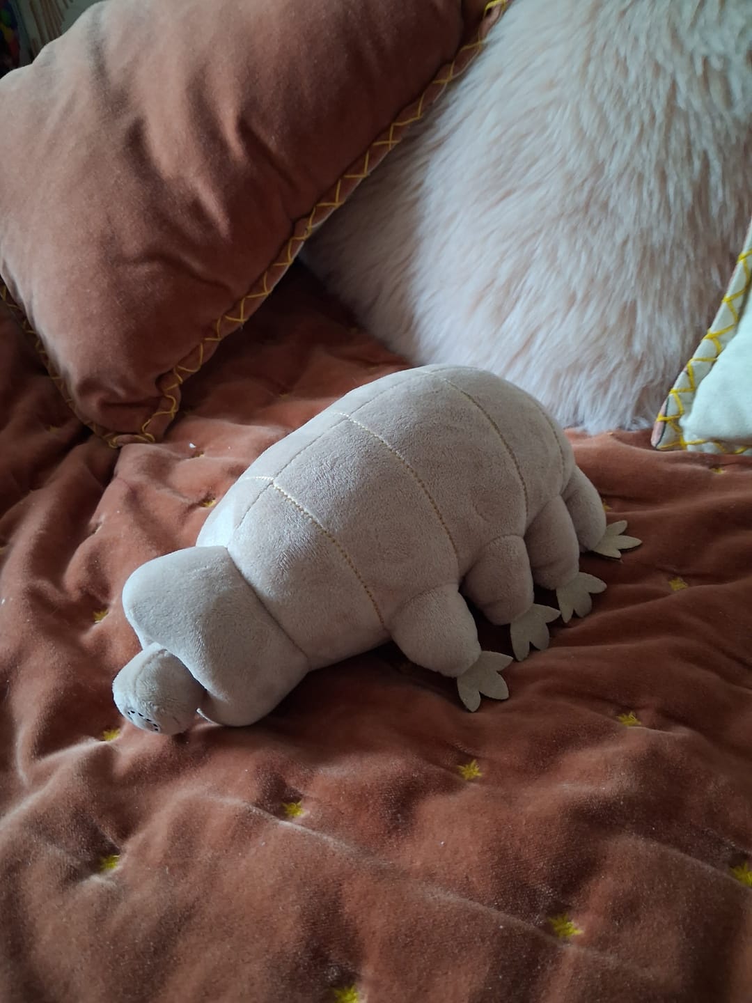 Customer photo review of Tardigrade Water Bear Soft Stuffed Plush Toy