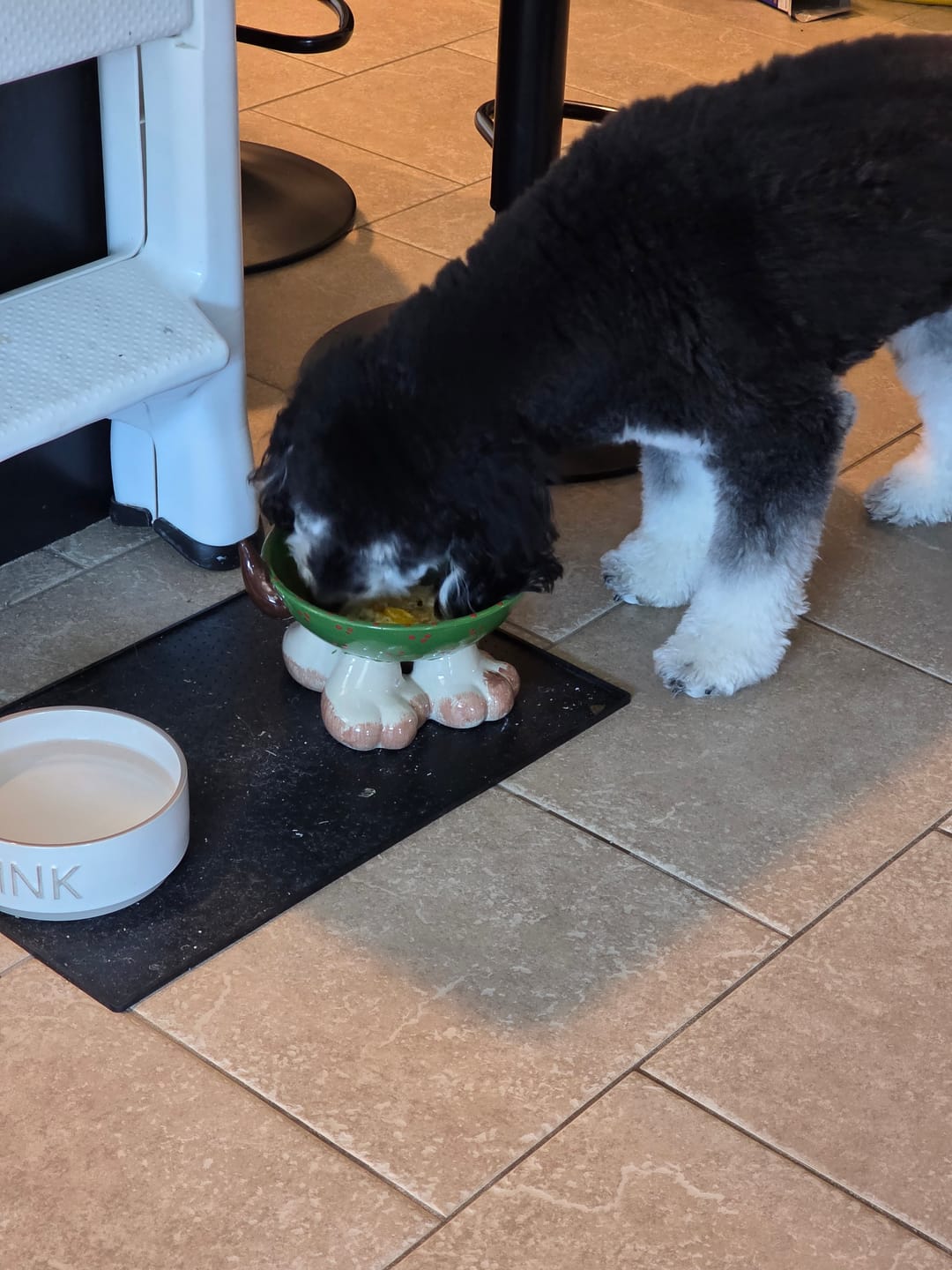Customer photo review of Strawberry Himalayan Yak Chew (MEDIUM)