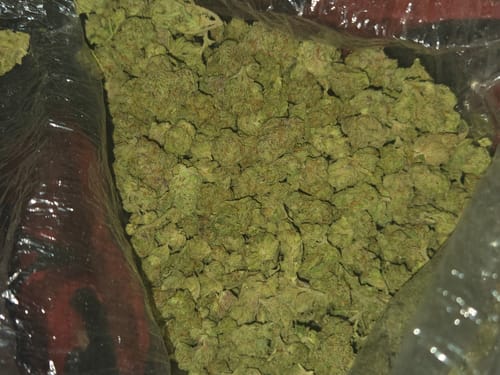Customer photo review of QP of Smalls - Bulk - 1/4 Pounds
