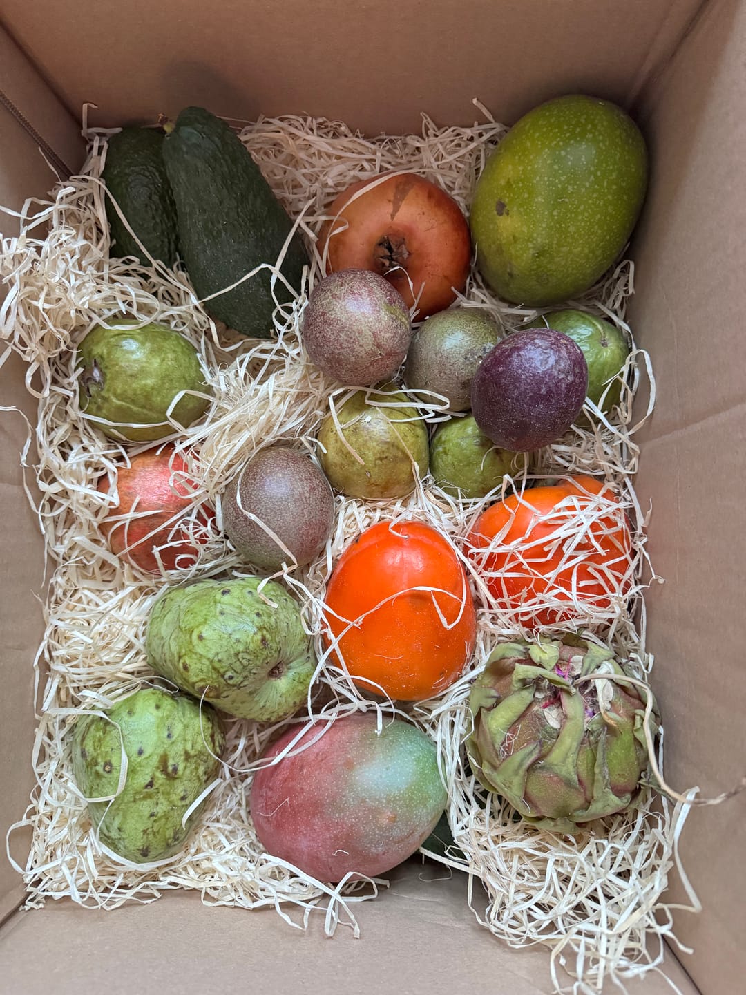 Customer photo review of Julian’s exotische Paradiesbox