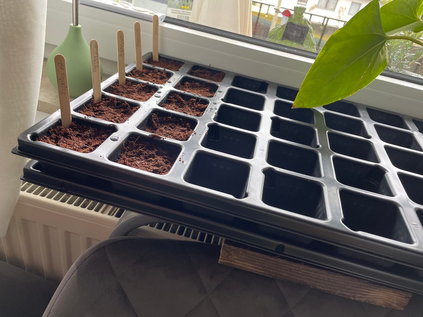 Customer photo review of QuickPot Anzuchtplatten