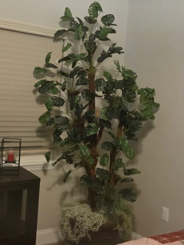 Customer photo review of Bulk 21" Monstera Bush 18 Forks Palm Tree Leaves Artificial Plants for Bathroom Wholesale