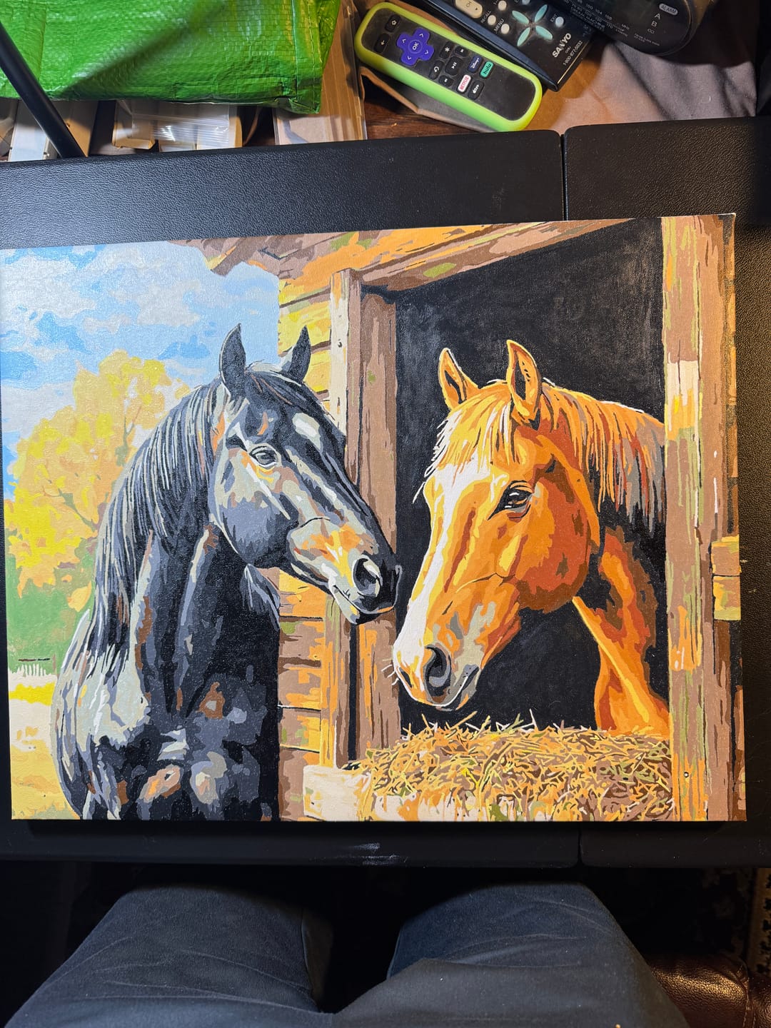 Customer photo review of Stable Companion