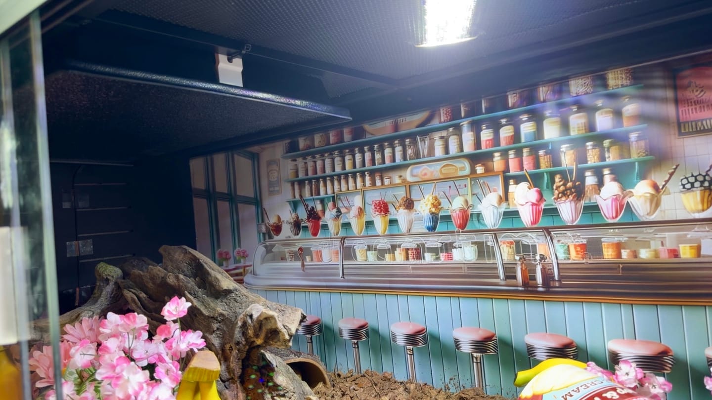 Customer photo review of Radiant Heat Panel, Flush Mount for Reptile Enclosure (14"x21")