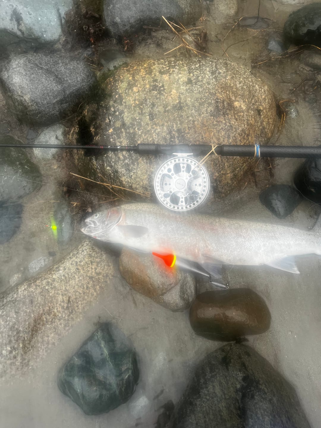 Customer photo review of Stealth SMX Floats