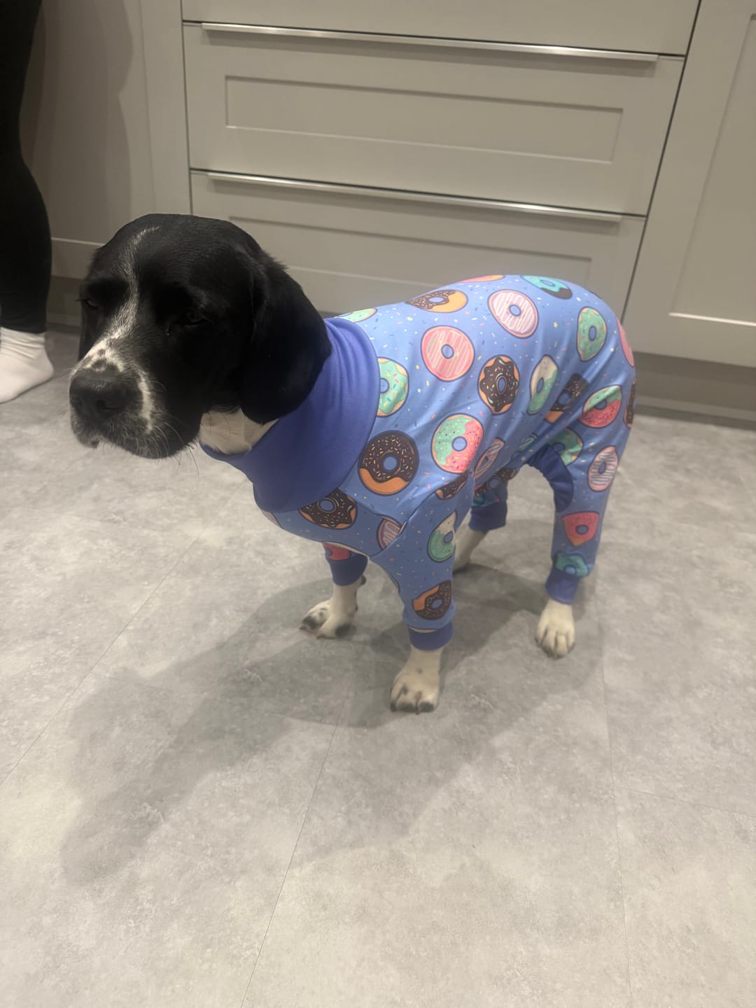 Customer photo review of Dog Pajama Prints