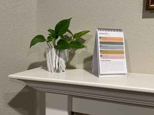 Customer photo review of Essential Conversations Flipbook for Families from the Old Testament 2026 | Aligned with Come, Follow Me