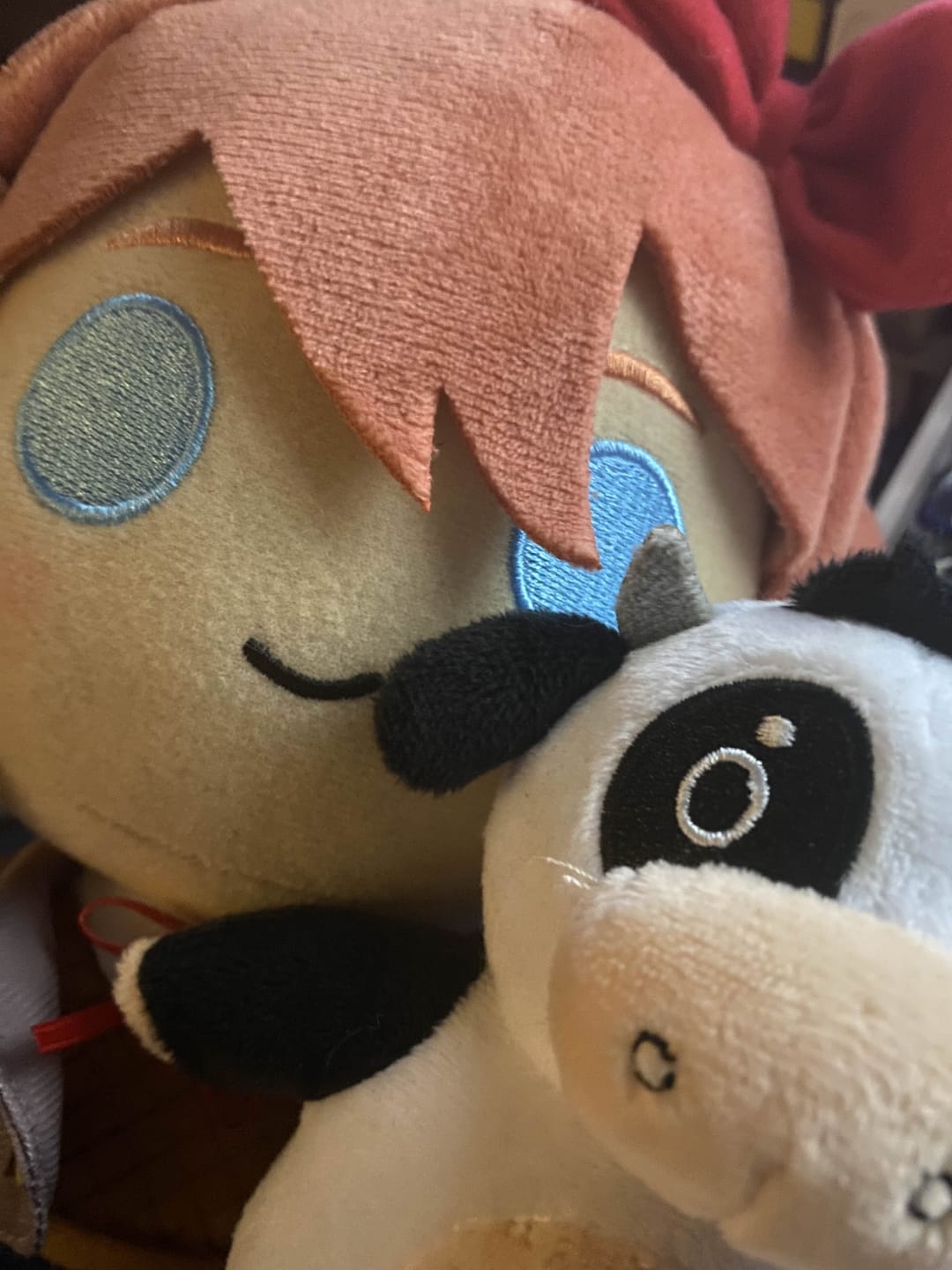 Customer photo review of Doki Doki Literature Club - Sayori Collector's Plush