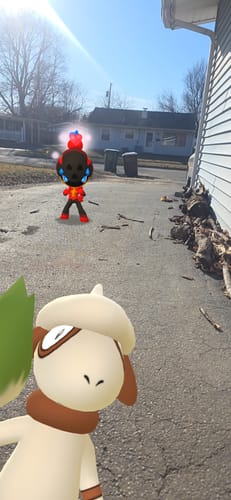 Customer photo review of 2nd EDITION: PBL PUSH-UP BRA