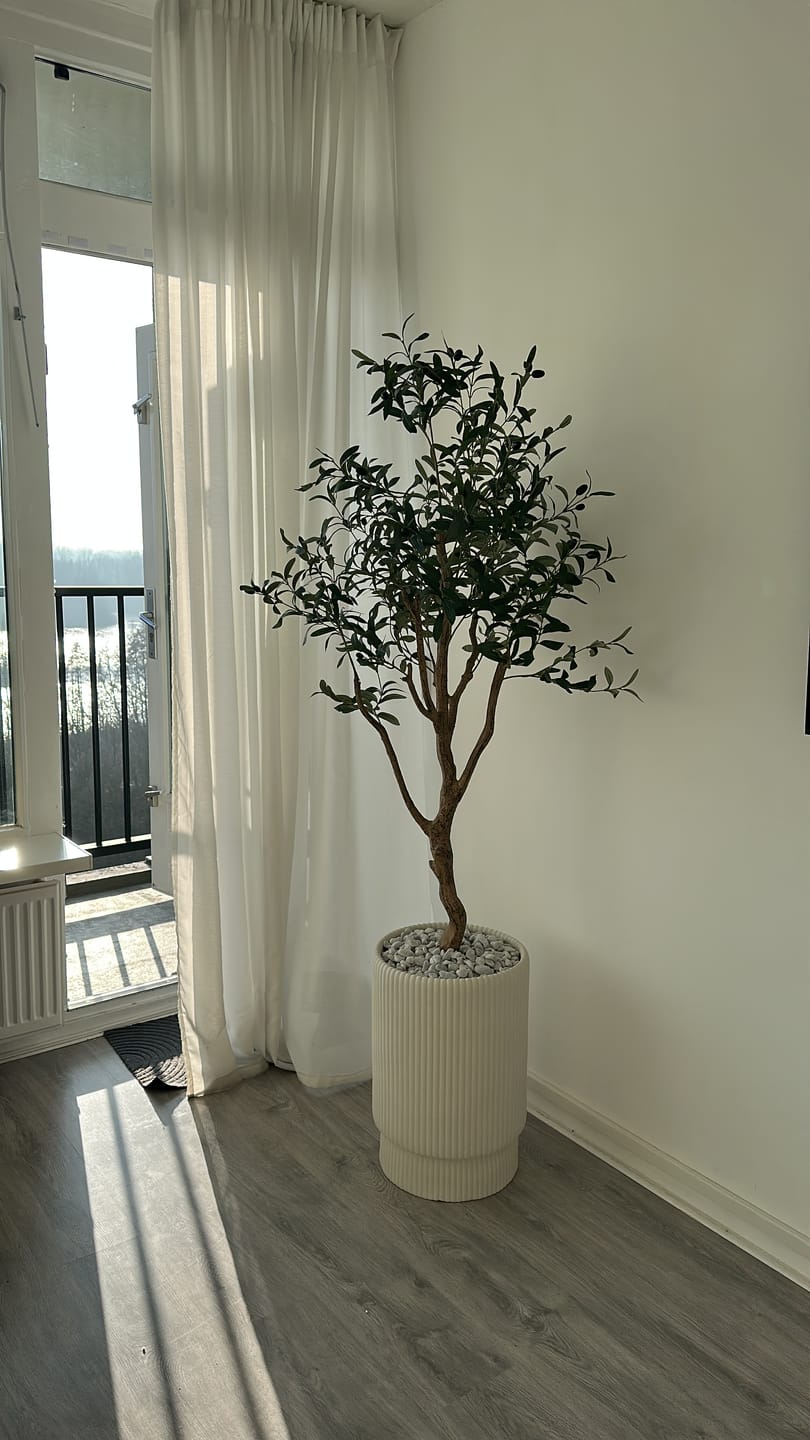 Customer photo review of Kunst Olijfboom 150cm