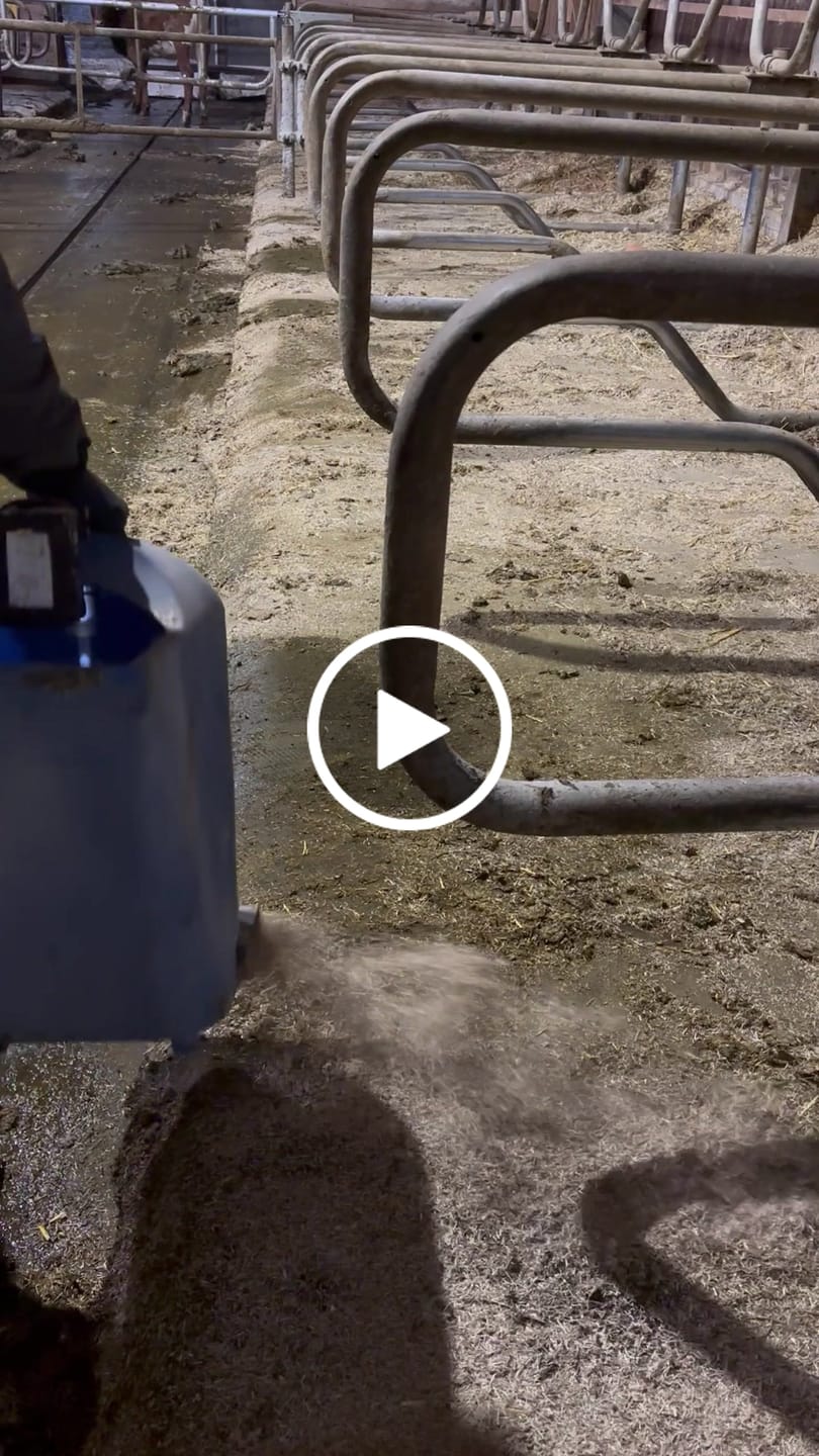 Customer video review of ECOflax Lein-Einstreu