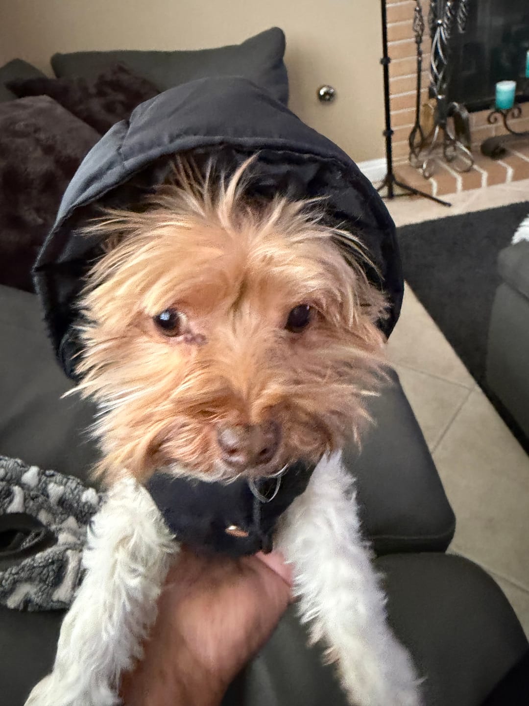 Customer photo review of Luxury Prina Lo-fi Vest