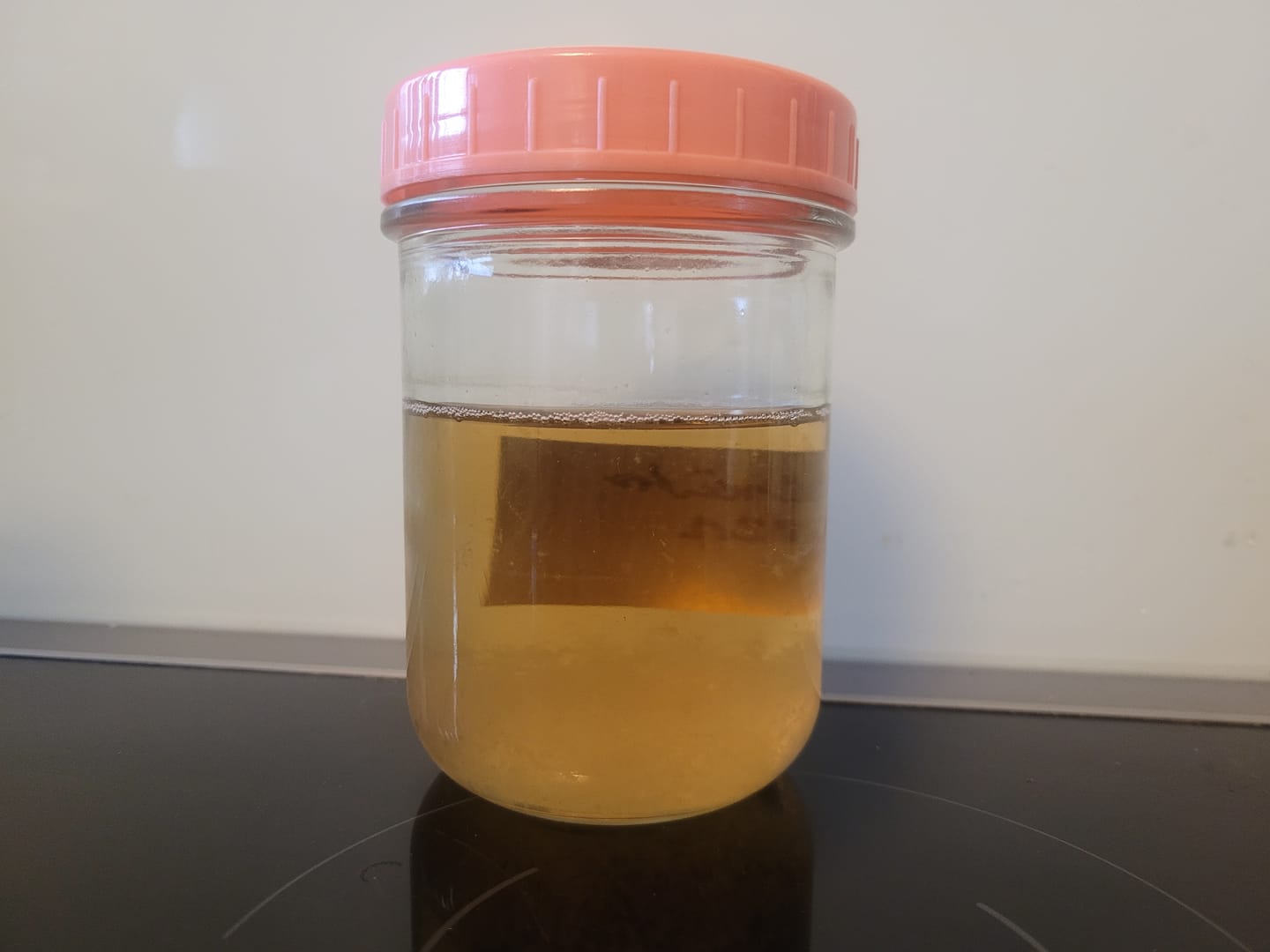 Customer photo review of Glas mit Deckel und Magnetrührstäbchen für Nährlösung