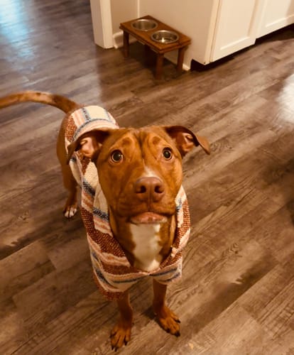 Customer photo review of Free & Easy Return or Exchange Coverage + Package Protection