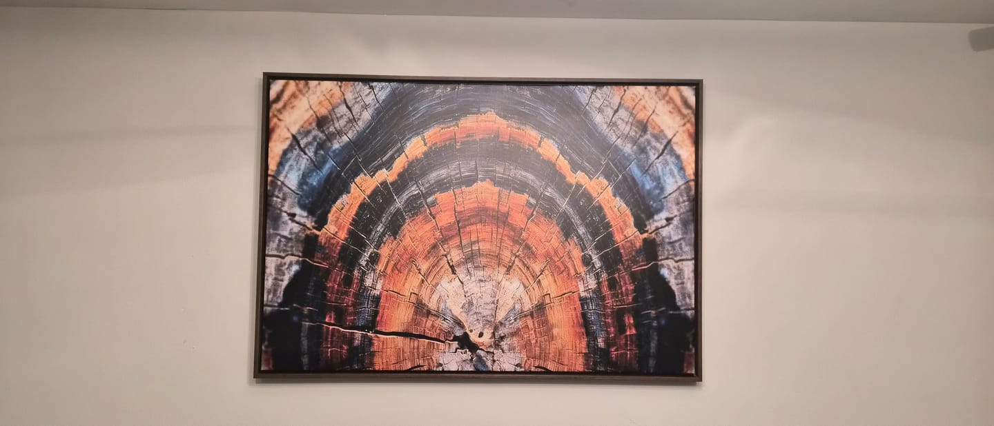 Customer photo review of Abstract Wood Grain Canvas Print, Tree Ring Pattern Wall Art, Framed Canvas Ready to Hang